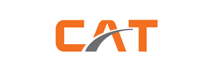 cat (1)